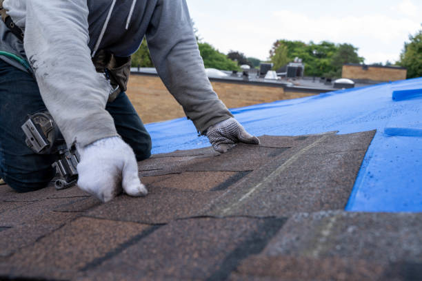 Best Roof Leak Repair  in Mcelhattan, PA